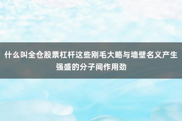 什么叫全仓股票杠杆这些刚毛大略与墙壁名义产生强盛的分子间作用劲