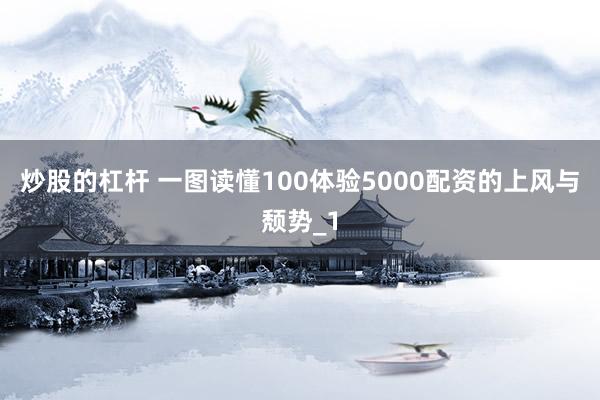 炒股的杠杆 一图读懂100体验5000配资的上风与颓势_1