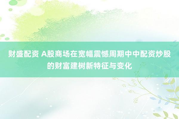 财盛配资 A股商场在宽幅震憾周期中中配资炒股的财富建树新特征与变化